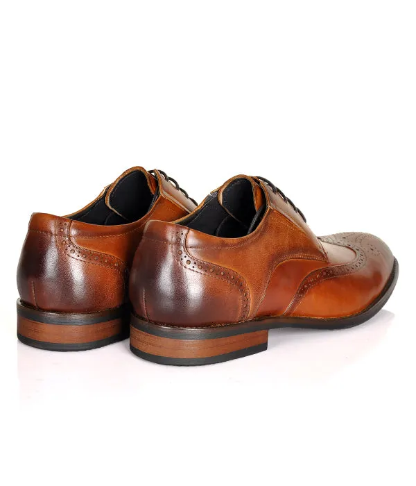 Aldo Brown Leather Blutcher Shoes