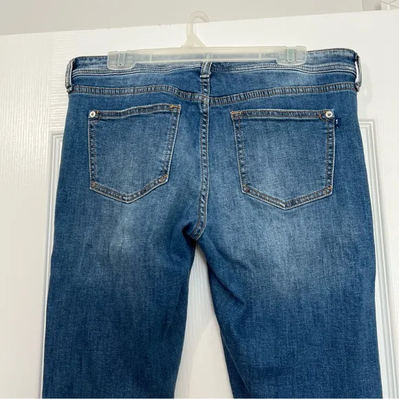 Anthropologie Pilcro Slim Boyfriend Crop Distressed Jeans