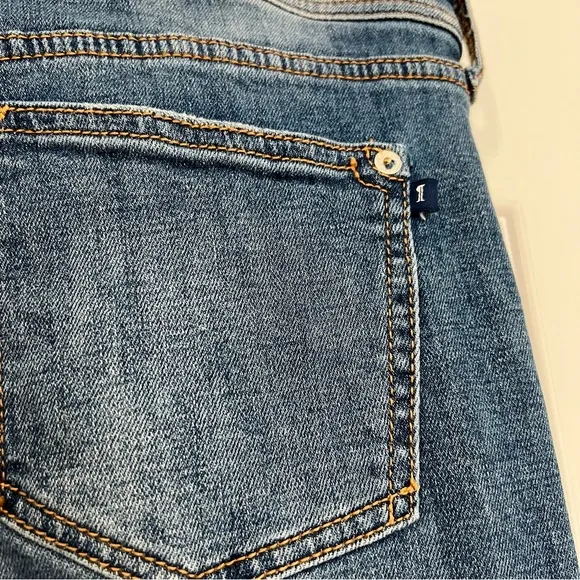 Anthropologie Pilcro Slim Boyfriend Crop Distressed Jeans