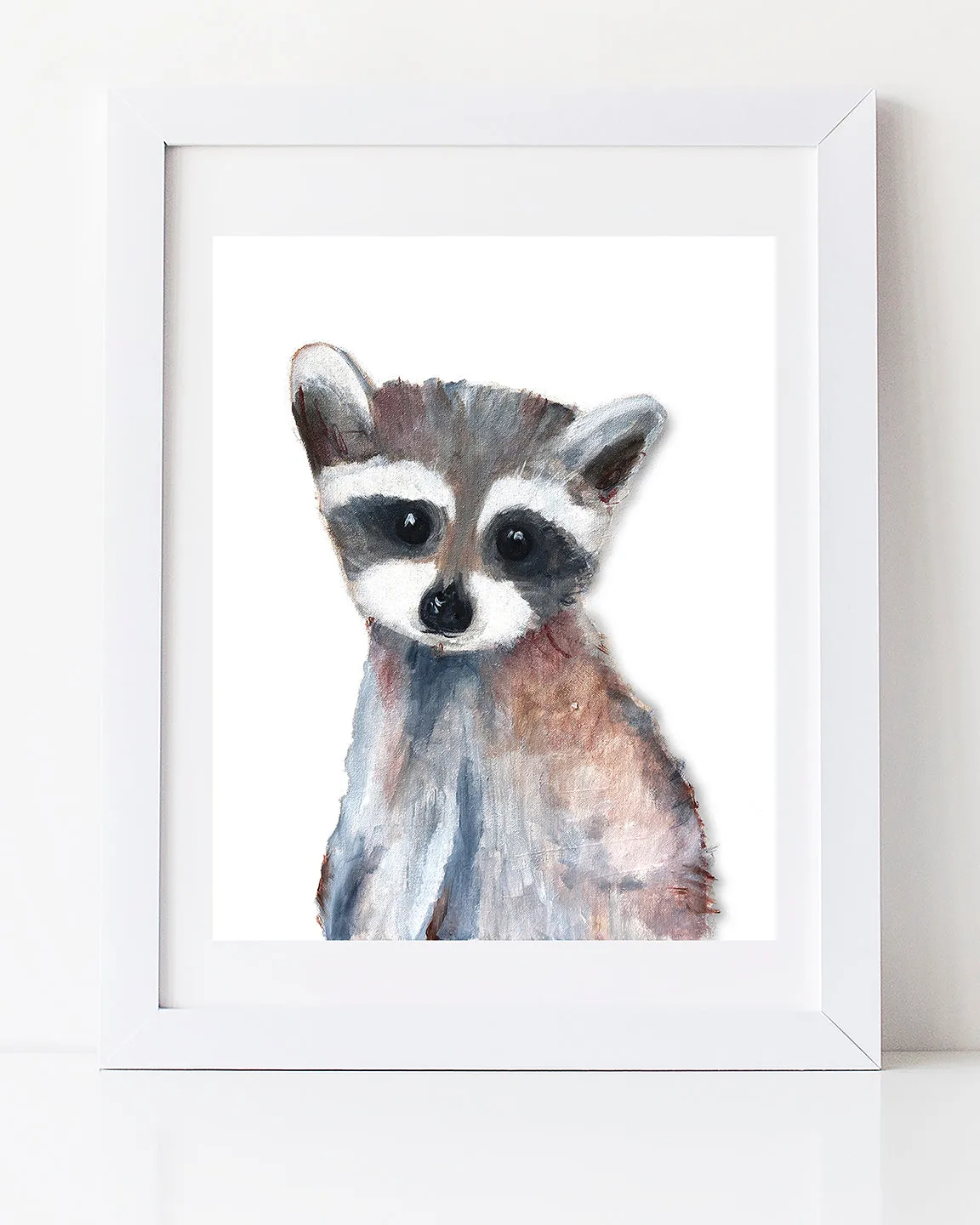 Baby Racoon