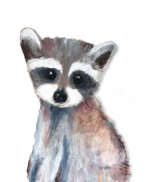 Baby Racoon