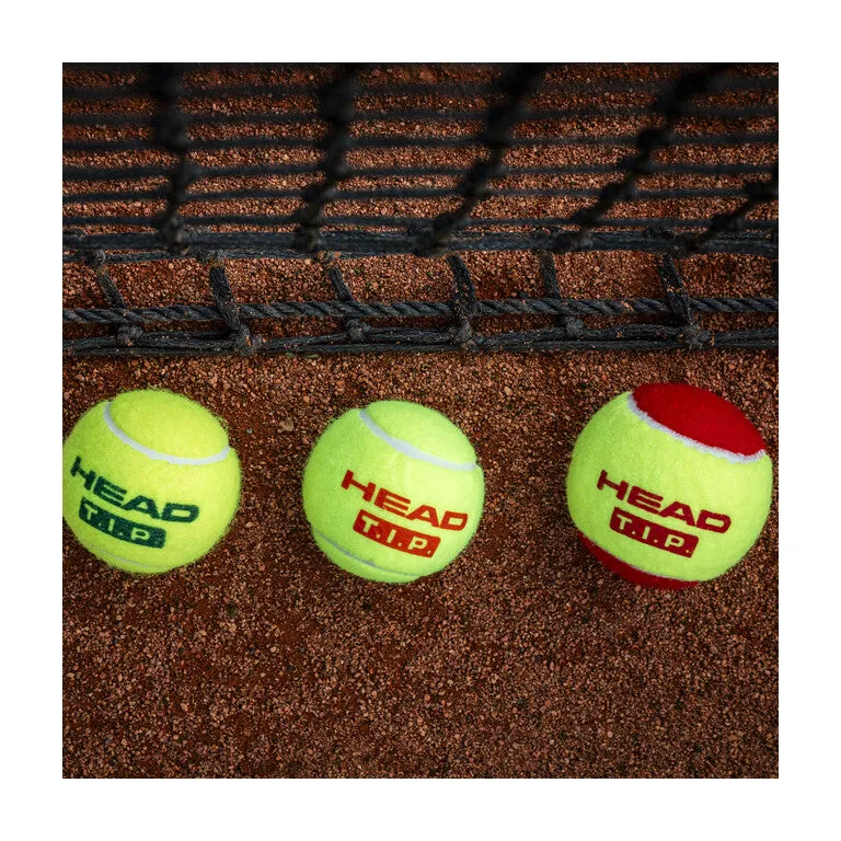 Head T.I.P Green 3 Tennis Balls (3 Cans Bundle)