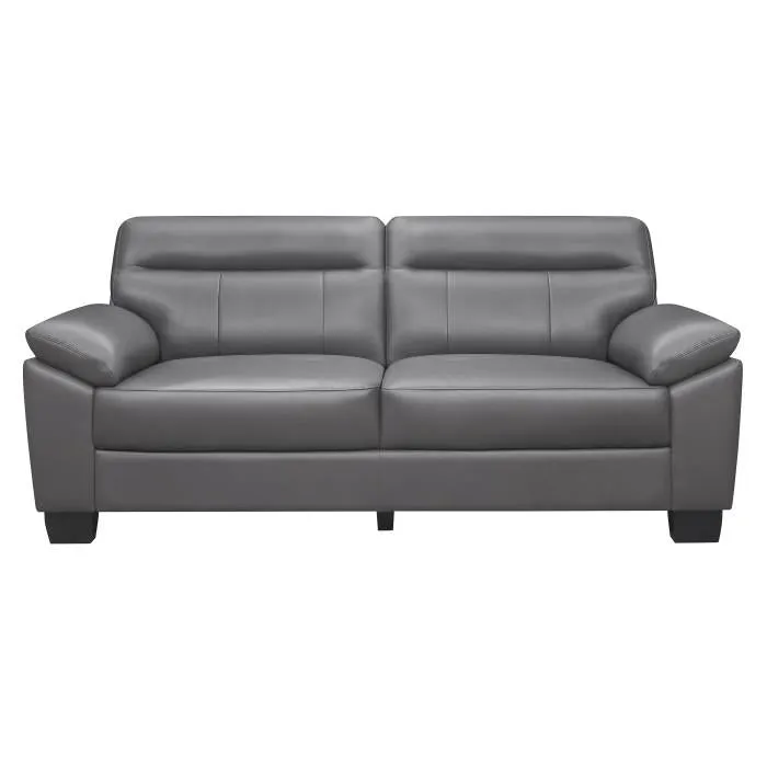 Homelegance Furniture Denizen Sofa in Dark Gray 9537DGY-3
