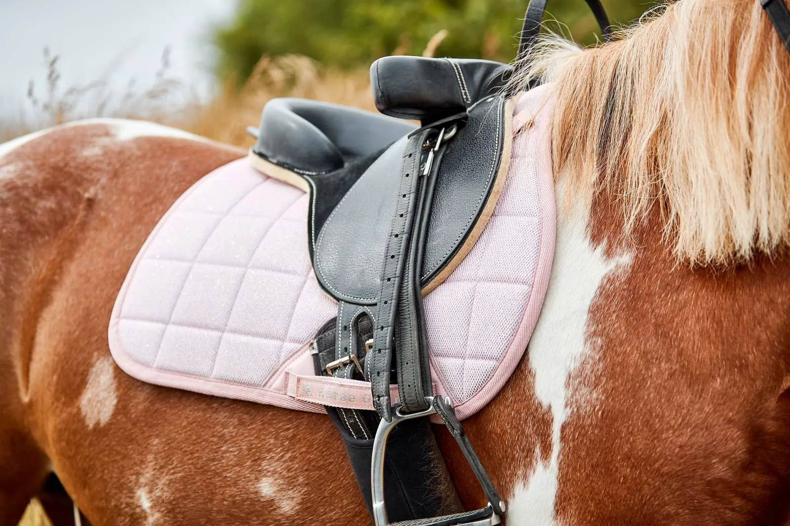 HorseGuard Mesh Glitter Kombi underlag