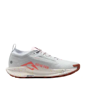 Nike Pegasus Trail 5 GTX (B Width) - Pure Platinum/White (Womens)
