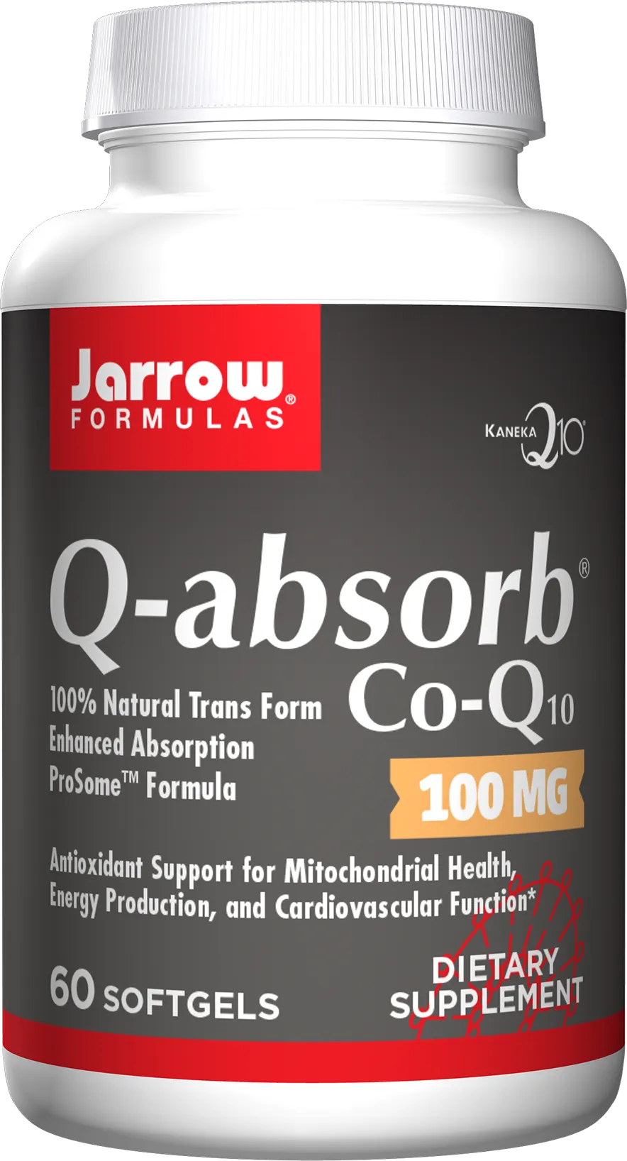 Q-absorb®