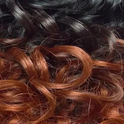 Sensationnel Empress Edge Natural Curved Part Lace Front Wig - BRIE - Clearance