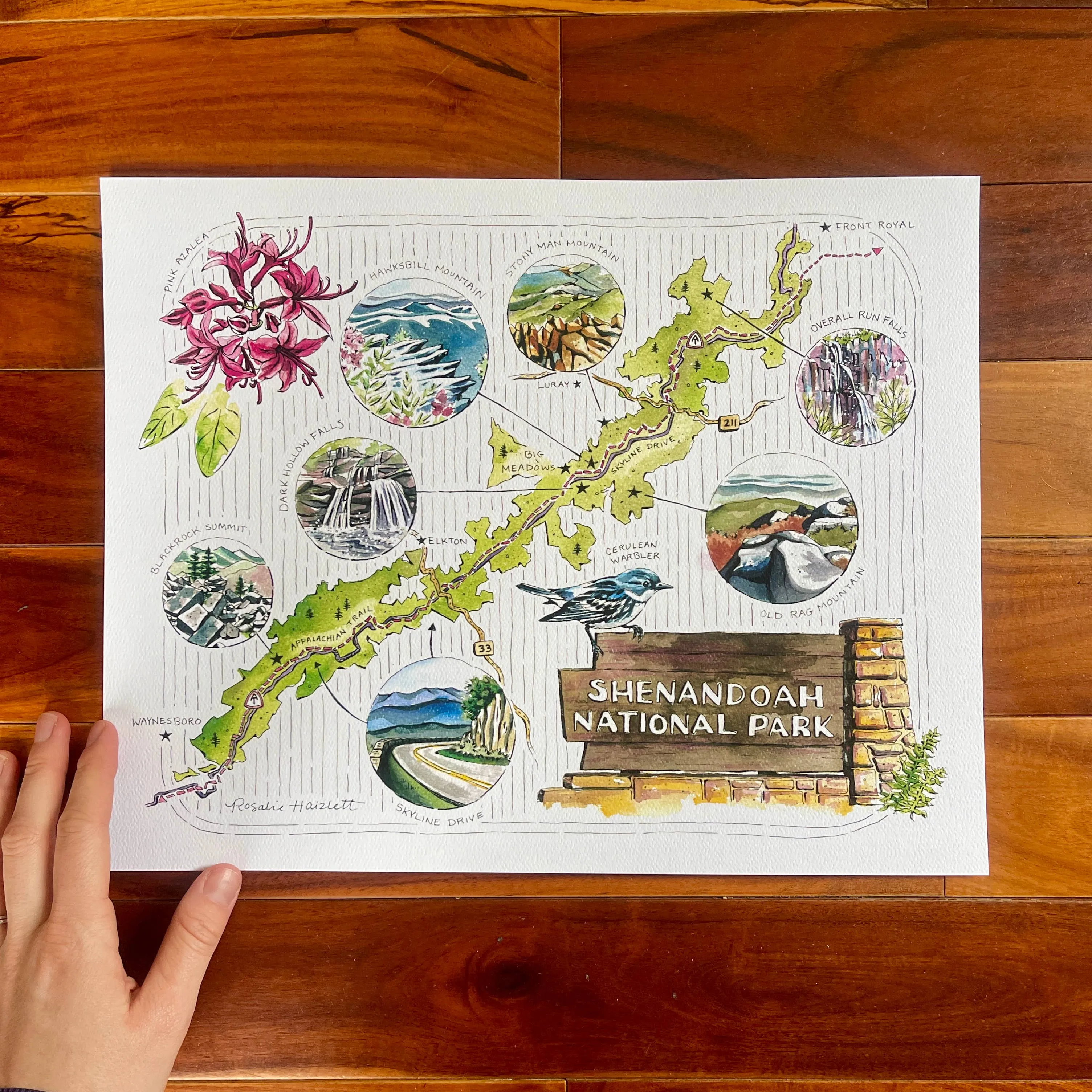 Shenandoah National Park Illustrated Map Art Print