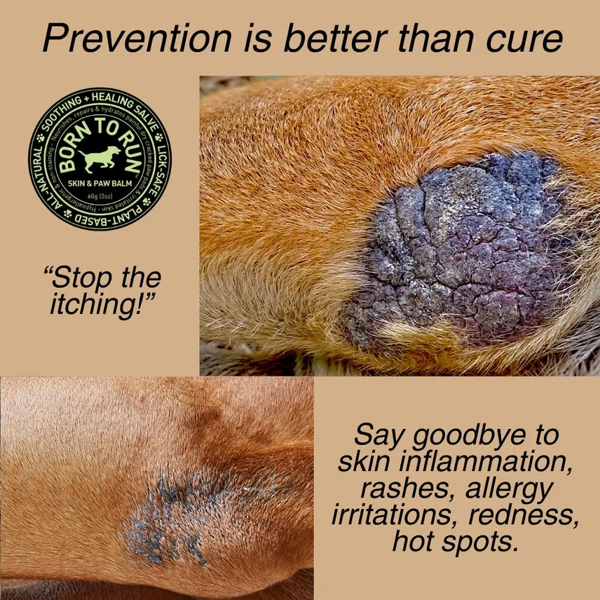 Skin & Paw Instant Relief Restorative Balm Organic 60g (2oz)