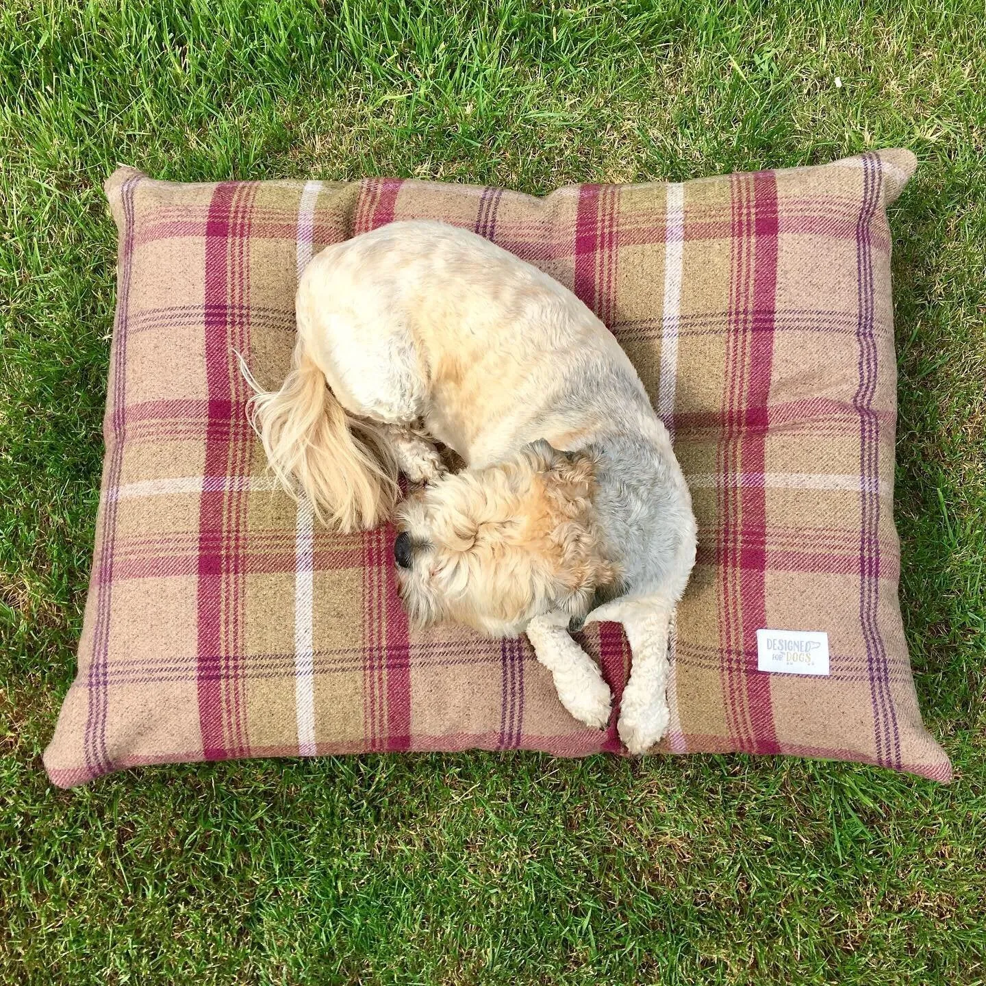 Tartan Pillow Dog Beds