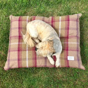 Tartan Pillow Dog Beds