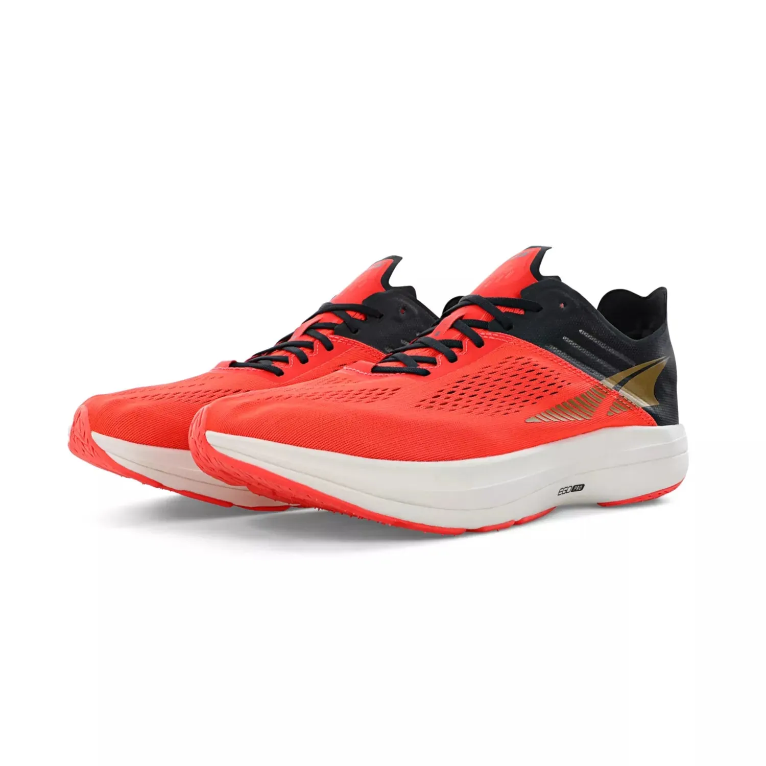 Vanish Carbon (Women's) - Past Season