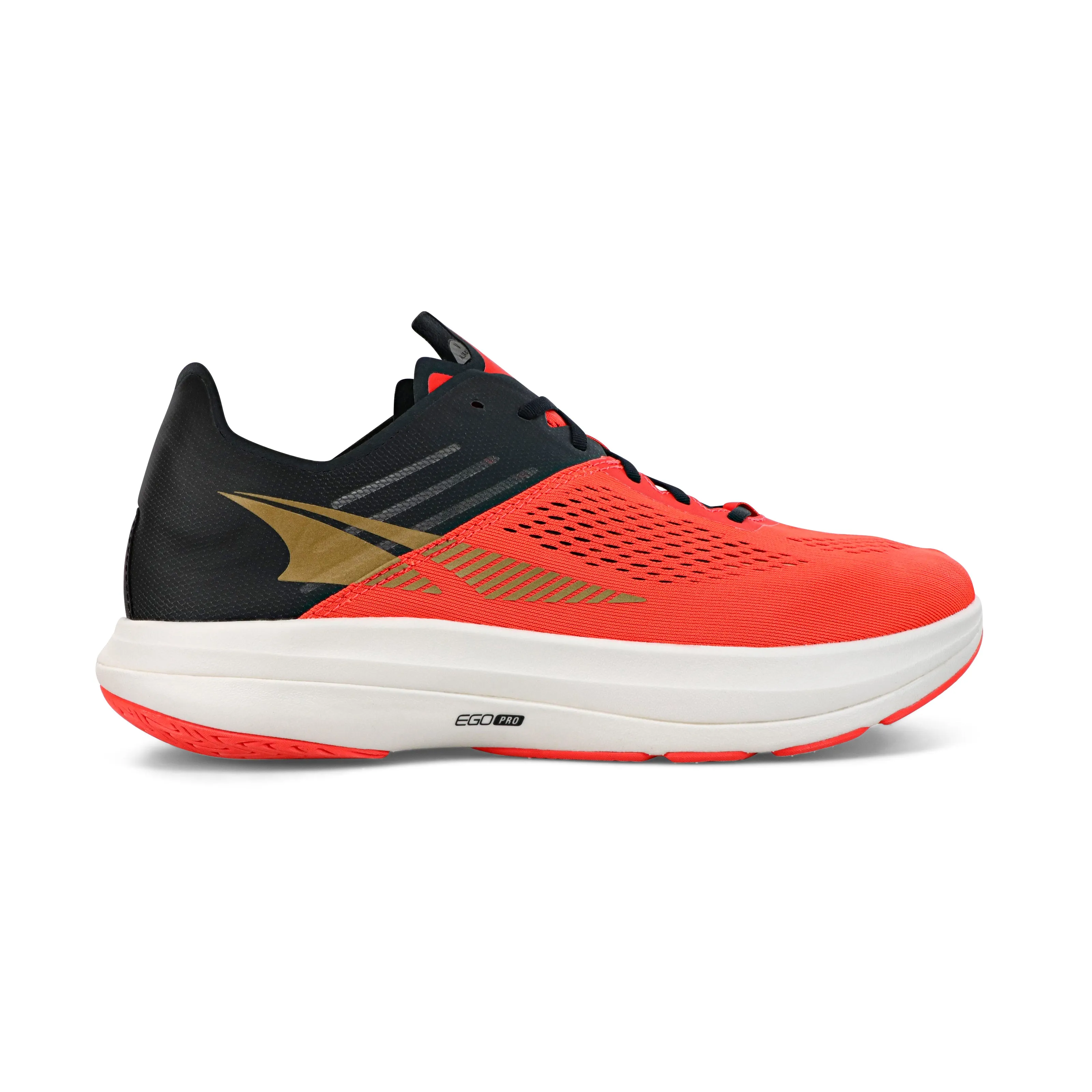Vanish Carbon (Women's) - Past Season