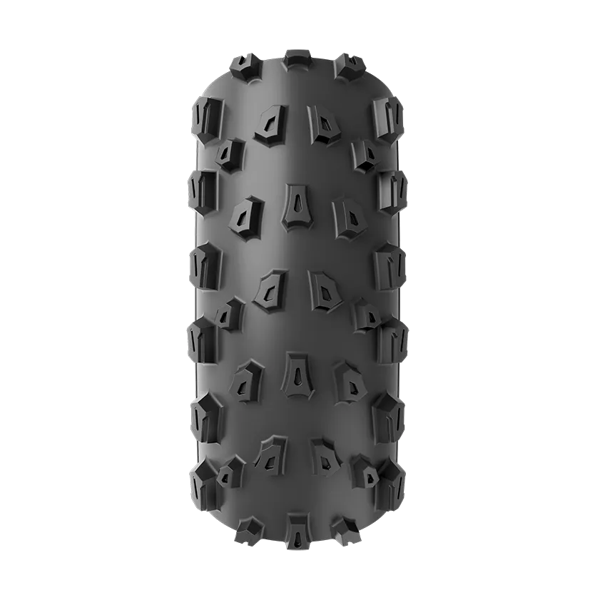 Vittoria Peyote 29er G2.0 Tyre